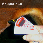 akupunktur